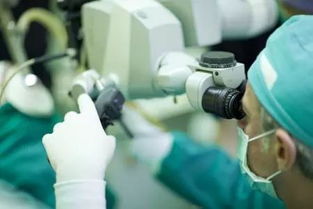 光纤成像材料与激光技术 发展脉络、特性解析与应用前景